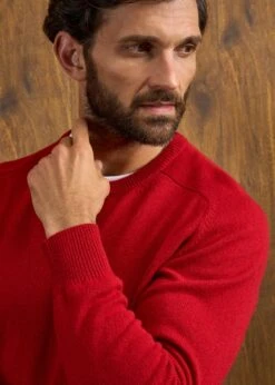 Dorset Men's Lambswool Jumper In Dubonnet - Classic Fit -AlanPaine Shop Dorset Mens Lambswool Jumper Dubonnet 5
