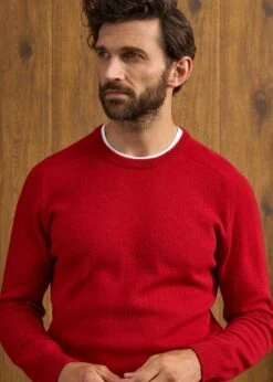 Dorset Men's Lambswool Jumper In Dubonnet - Classic Fit -AlanPaine Shop Dorset Mens Lambswool Jumper Dubonnet 6