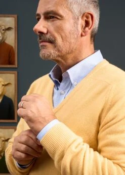 Hampshire Lambswool Jumper In Canary - Classic Fit -AlanPaine Shop Hampshire lambswool jumper canary 2