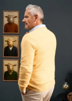 Hampshire Lambswool Jumper In Canary - Classic Fit -AlanPaine Shop Hampshire lambswool jumper canary 3