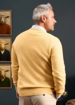 Hampshire Lambswool Jumper In Canary - Classic Fit -AlanPaine Shop Hampshire lambswool jumper canary 4