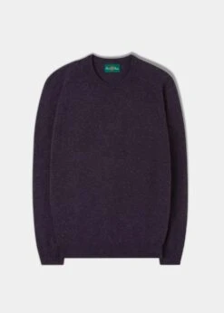 Lenzie Men's Lambswool Jumper In Elderberry - Regular Fit