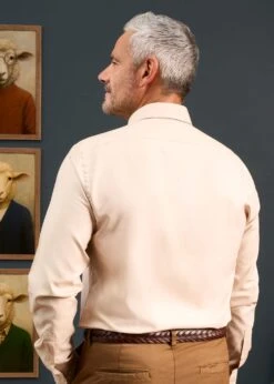 Men's Cotton Button Down Brown Shirt - Regular Fit -AlanPaine Shop Mens Button Down Shirt Light Brown 5