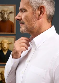 Men's Cotton Button Down White Shirt - Regular Fit -AlanPaine Shop Mens Button Down Shirt White 2