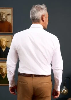 Men's Cotton Button Down White Shirt - Regular Fit -AlanPaine Shop Mens Button Down Shirt White 3