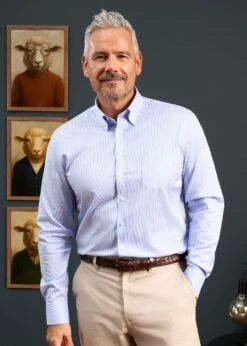 Men's Cotton Button Down Blue Striped Shirt - Regular Fit -AlanPaine Shop Mens Cotton Button Down Shirt Blue Stripe2