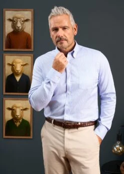 Men's Cotton Button Down Blue Striped Shirt - Regular Fit -AlanPaine Shop Mens Cotton Button Down Shirt Blue Striped 3