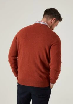Albury Geelong Wool Jumper In Tiger - Regular Fit -AlanPaine Shop albury geelong wool jumper tiger 3