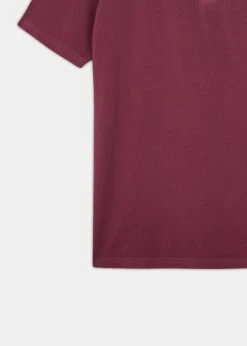 Tutbury Faded Dye Polo Shirt In Claret - Without Emblem -AlanPaine Shop ls2101 tutbury mens faded dye polo shirt claret 3 6a62f01e ac90 4ae2 9c88 e78792bd424e