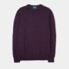 Radstone Men's Merino Wool Jumper In Black Grape - Regular Fit -AlanPaine Shop radstone mens merino wool jumper black grape 1