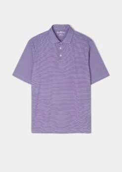 Waterbeach Striped Polo Shirt In Plum - Sports Fit